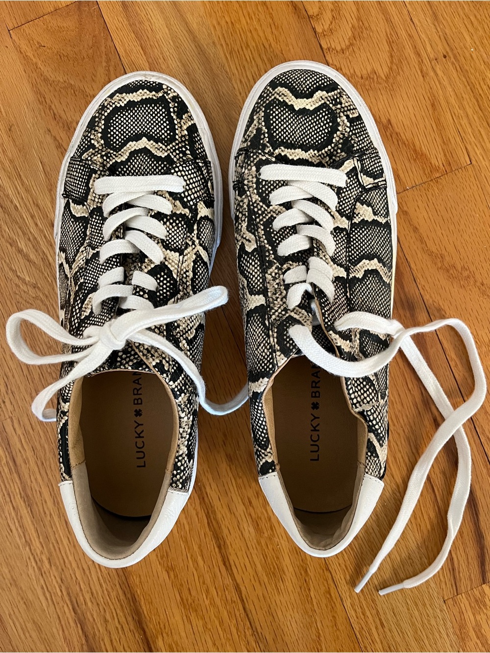 Lucky Brand Snake-Print Sneakers in Black & Cream
